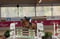 Horse ad