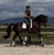 Pferdeinserat