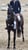 Annonce cheval