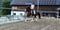 Horse ad