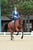 Horse ad