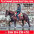 Horse ad