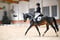 Horse ad