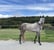 Horse ad