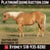 Horse ad