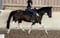 Annuncio cavallo