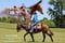 Annuncio cavallo