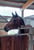 Annuncio cavallo
