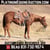 Horse ad