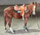Anuncio de caballos