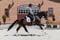 Annuncio cavallo