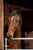 Horse ad