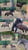 Horse ad