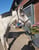 Paardadvertentie