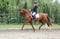 Horse ad