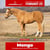 Horse ad