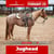 Horse ad