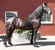 Annuncio cavallo