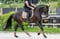 Annuncio cavallo