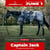Paardadvertentie