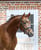 Horse ad