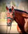 Horse ad