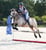 Annuncio cavallo