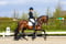 Annonce cheval
