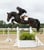 Annuncio cavallo