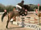 Horse ad