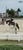 Annuncio cavallo