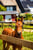 Horse ad