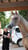 Annuncio cavallo