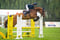 Horse ad