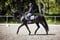 Annuncio cavallo