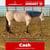 Horse ad