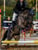 Horse ad