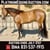 Horse ad