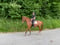 Horse ad