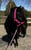 Horse ad