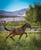 Horse ad