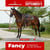 Horse ad
