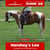 Annuncio cavallo