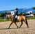 Annuncio cavallo