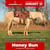 Horse ad