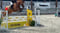 Paardadvertentie