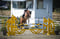 Annuncio cavallo