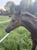 Annuncio cavallo