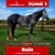 Paardadvertentie