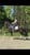 Horse ad